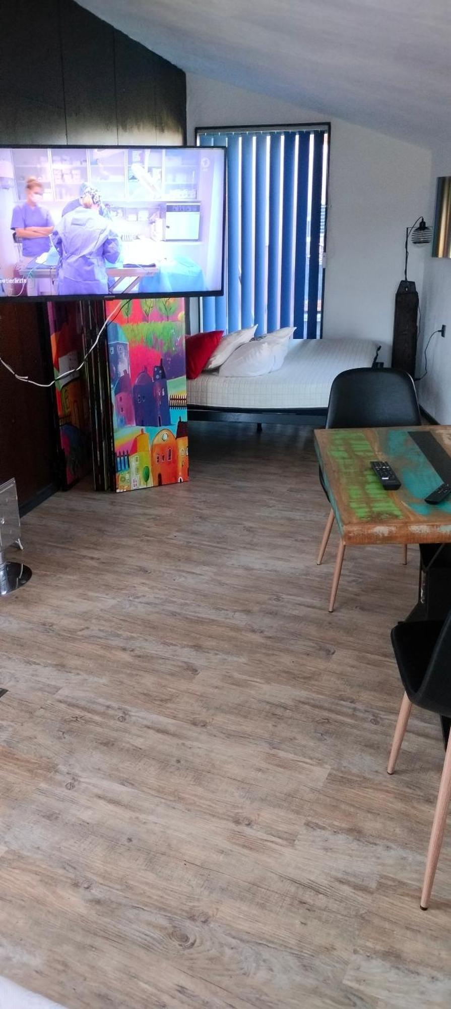 Apartment Moderne Vintage